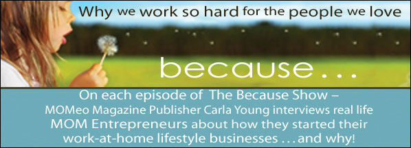 The-Because-Podcast-Webpage-banner-2